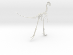 Compsognathus Skeleton (over 2-feet long)  in White Natural Versatile Plastic