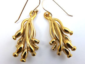 Ascilla Sponge earrings in Polished Bronze