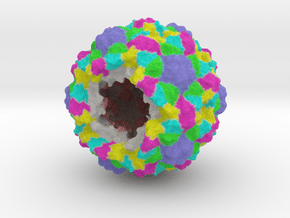 Bacteriophage Procapsid (Open) (1CD3) in Full Color Sandstone
