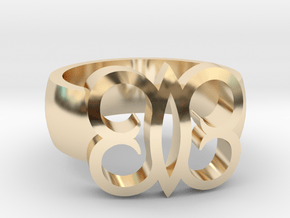 Adinkra Rings - Series 2: Hye Wo Ho Nhye in 14k Gold Plated Brass