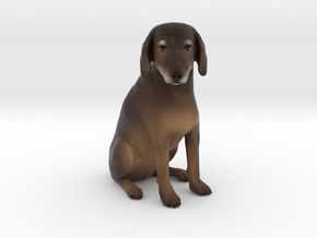 Custom Dog Figurine - Baxter in Full Color Sandstone