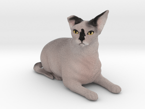 Custom Cat Figurine - Phaedra in Full Color Sandstone