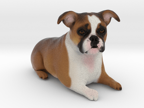 Custom Dog Figurine - Lola in Full Color Sandstone