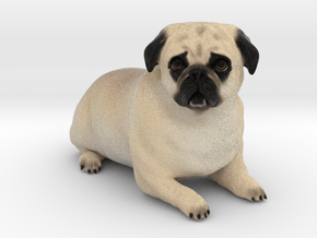 Custom Dog Figurine - Duke in Full Color Sandstone