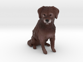 Custom Dog Figurine - Scout in Full Color Sandstone