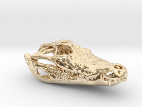 Alligator skull pendant: 50mm with loop in 14k Gold Plated Brass