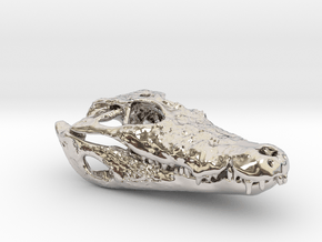 Alligator skull pendant: 50mm with loop in Rhodium Plated Brass