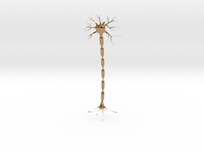 Neuron Pendant. in Polished Brass