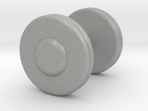 a Mini Troy Barbell Fixed Pro-Style Dumbbells in Aluminum