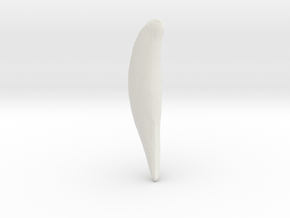 Tiger Tooth in White Natural Versatile Plastic