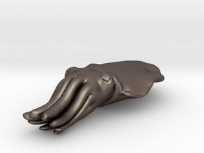 Cuttlefish in Polished Bronzed Silver Steel