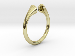 Gramaphonic Ring, US size 8,5 d= 18mm. Place M in 18k Gold Plated Brass: 8.5 / 58