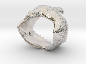 The Eagle Ring in Rhodium Plated Brass