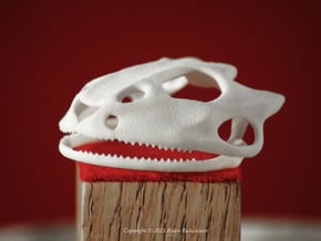 Frog Skull in White Natural Versatile Plastic