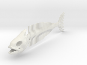 FISH SKELETON 12" in White Natural Versatile Plastic