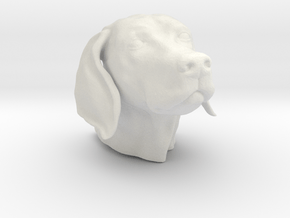 Weimaraner head hollow in White Natural Versatile Plastic