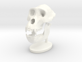 Gorilla Skull with base in White Processed Versatile Plastic