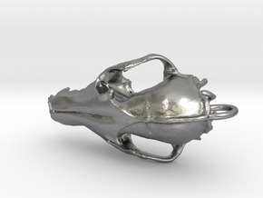 Fox Cranium B - 30mm in Natural Silver