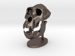 Gorilla Skull with base in Polished Bronzed Silver Steel