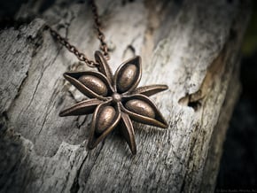 Anise Pendant in Polished Bronze Steel