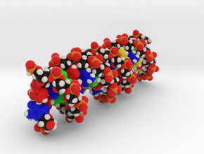 DNA Molecule Model "Matthew"  in Full Color Sandstone