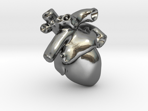 Anatomical Heart Pendant in Polished Silver