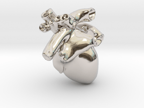 Anatomical Heart Pendant in Platinum