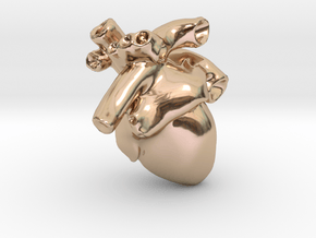 Anatomical Heart Pendant in 14k Rose Gold Plated Brass