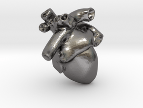 Anatomical Heart Pendant in Polished Nickel Steel