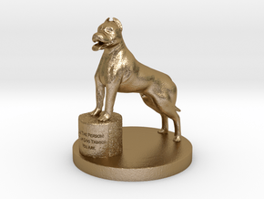 Pitbull  in Polished Gold Steel