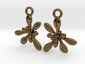 Arabidopsis Rosette Earrings  in Polished Bronze