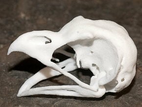 Great Horned Owl Skull in White Processed Versatile Plastic