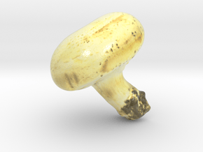 The White Mushroom-mini in Glossy Full Color Sandstone