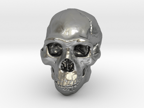 Real Skull : Homo erectus (Scale 1/4) in Natural Silver