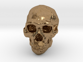 Real Skull : Homo erectus (Scale 1/4) in Natural Brass