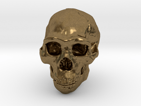 Real Skull : Homo erectus (Scale 1/4) in Natural Bronze