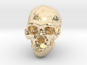 Real Skull : Homo erectus (Scale 1/4) in 14K Yellow Gold