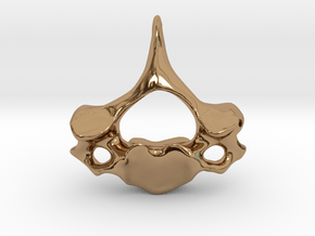 Cervical Neck Vertebra from a Human in Polished Brass