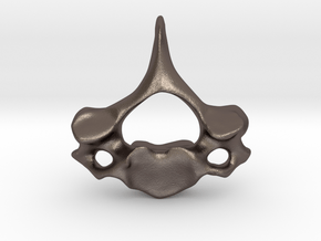 Cervical Neck Vertebra from a Human in Polished Bronzed Silver Steel
