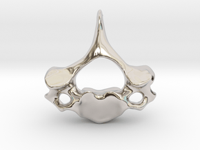 Cervical Neck Vertebra from a Human in Rhodium Plated Brass