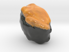 The Sushi of Sea Urchin-mini in Glossy Full Color Sandstone