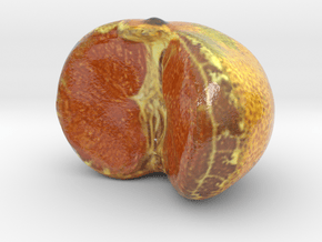 The Tangerine-Half-mini in Glossy Full Color Sandstone