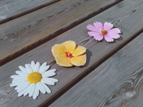 The 3 Flowers in Full Color Sandstone