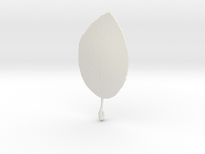 Leaf in White Natural Versatile Plastic