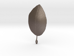 Leaf in Polished Bronzed Silver Steel