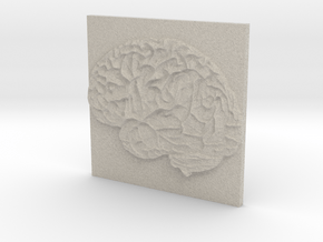 Brain in Natural Sandstone