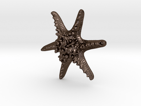 Horned Sea Star in Polished Bronze Steel