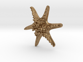 Horned Sea Star in Natural Brass