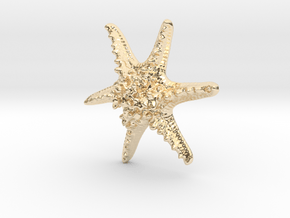 Horned Sea Star in 14K Yellow Gold