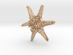 Horned Sea Star in 14k Rose Gold Plated Brass